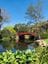 Wollongong Botanic Gardens Public Day Tour Image -5da65303edffc